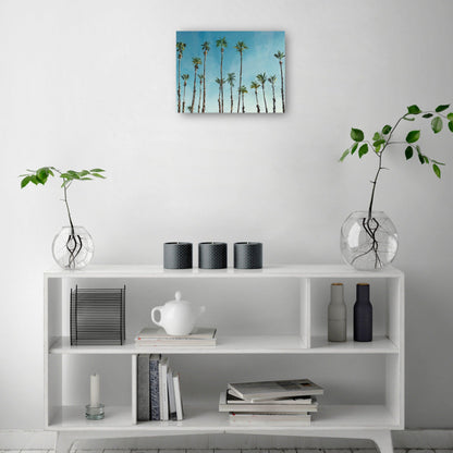 Domingo de palma - Studio Arts