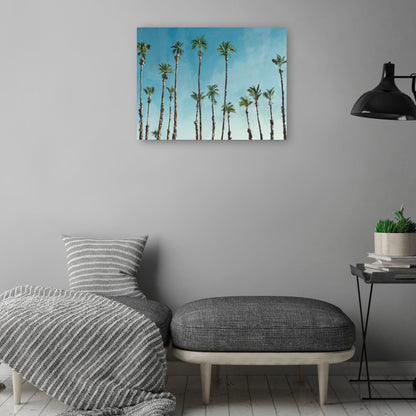 Domingo de palma - Studio Arts