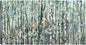 Bosques - Studio Arts