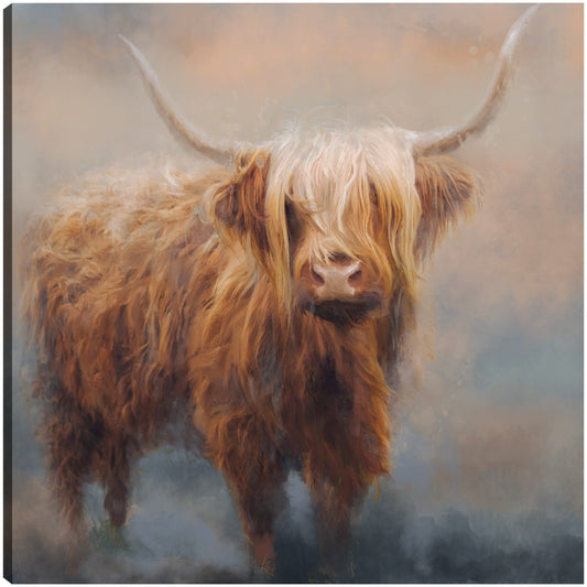 Wally - Studio Arts