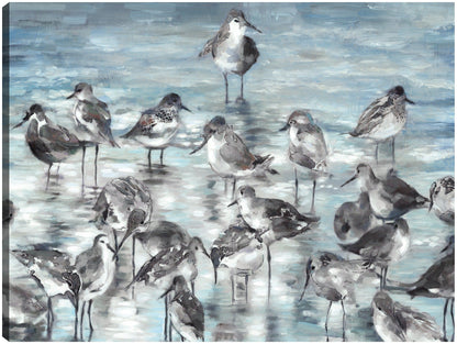 Aves Costeras - Studio Arts