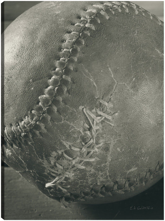 Béisbol - Ed Goldstein