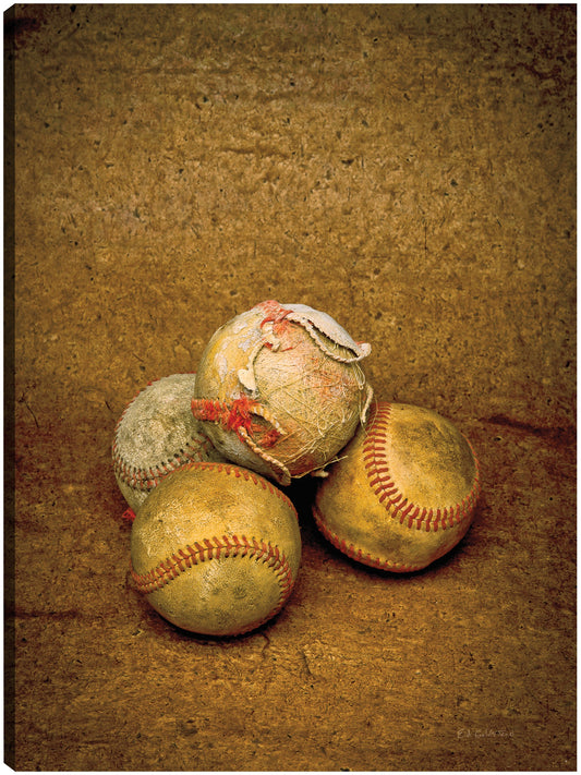 Retratos de pelota de juego - Ed Goldstein