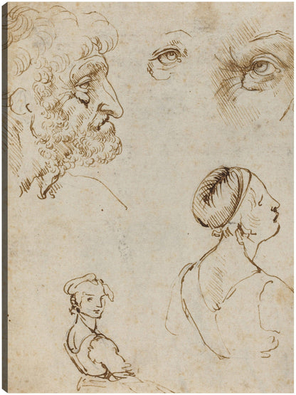 Hoja de Estudios [anverso], probablemente 1470/1480 - Leonardo da Vinci
