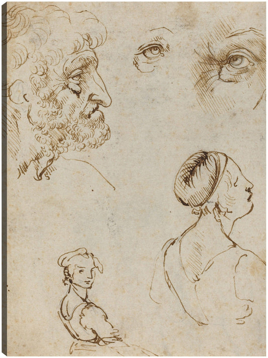 Hoja de Estudios [anverso], probablemente 1470/1480 - Leonardo da Vinci