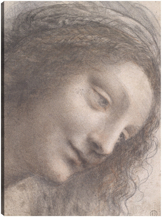 La cabeza de la Virgen en vista de tres cuartos mirando hacia la derecha (1510-13) - Leonardo da Vinci