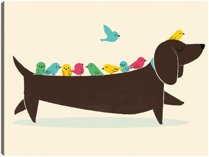 Ave perro - Jay Fleck