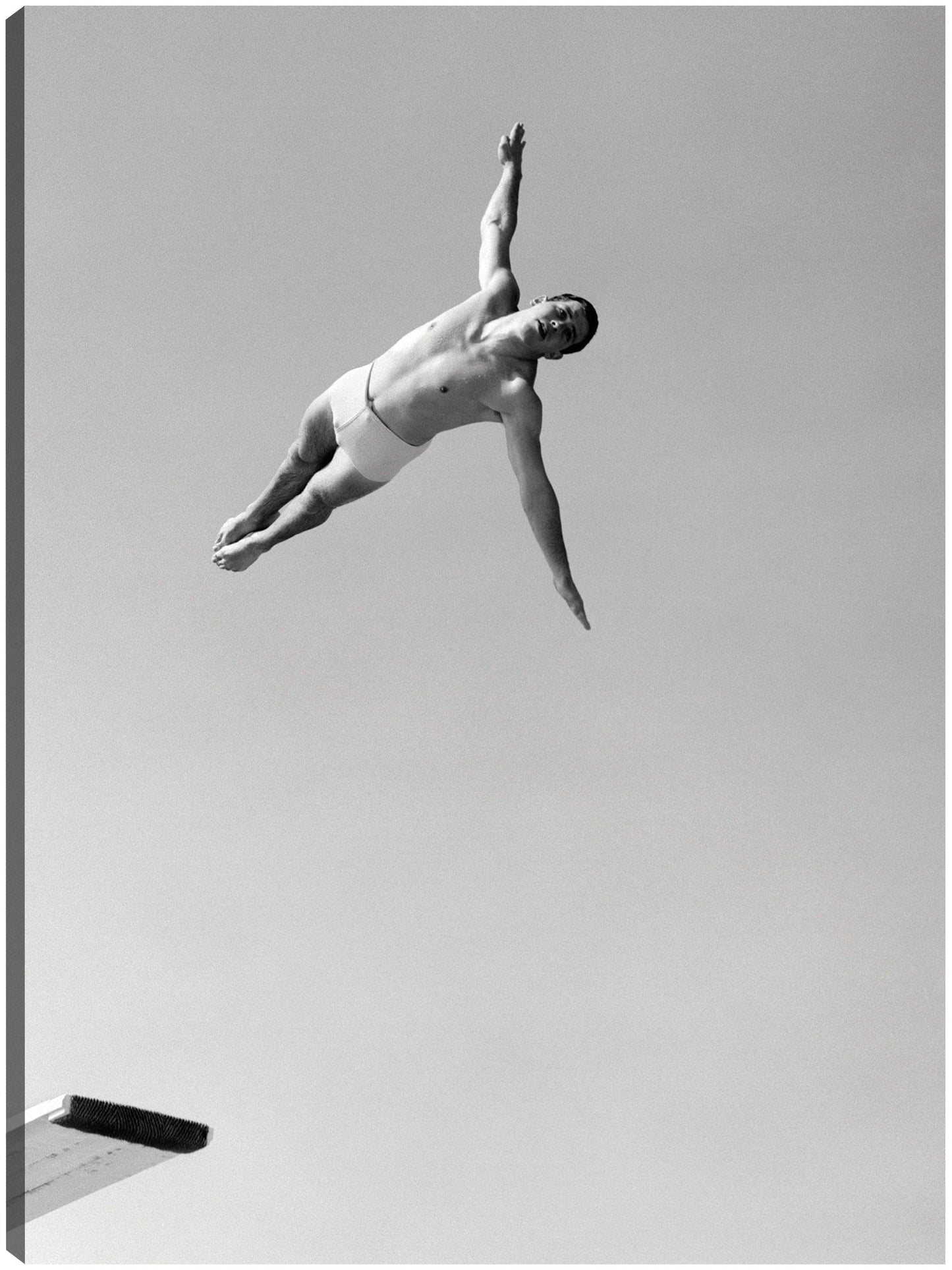 Hombre de buceo de cisne alto - Vintage Images