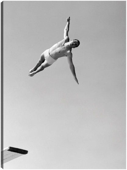 Hombre de buceo de cisne alto - Vintage Images
