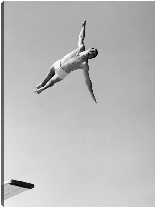 Hombre de buceo de cisne alto - Vintage Images