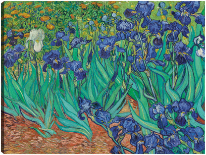 Iris (1889) - Vincent Van Gogh