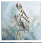 Encaramado en el paraíso - Studio Arts