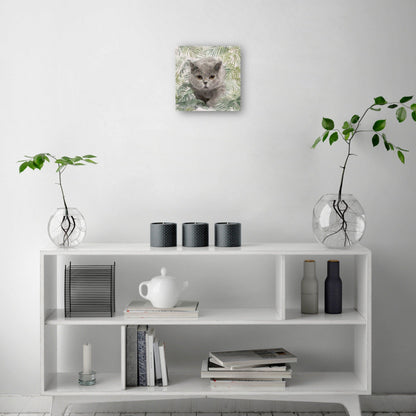 Gatitos de la isla I - Studio Arts