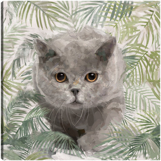 Gatitos de la isla I - Studio Arts