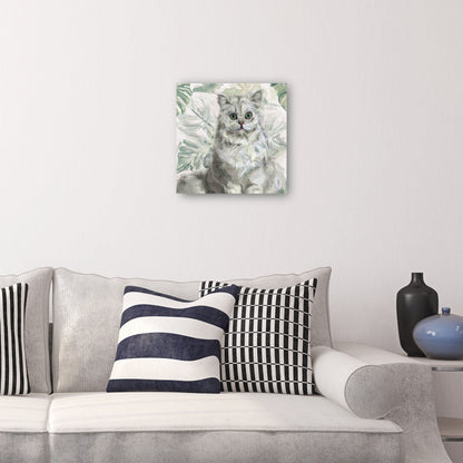 Gatitos de la isla II - Studio Arts