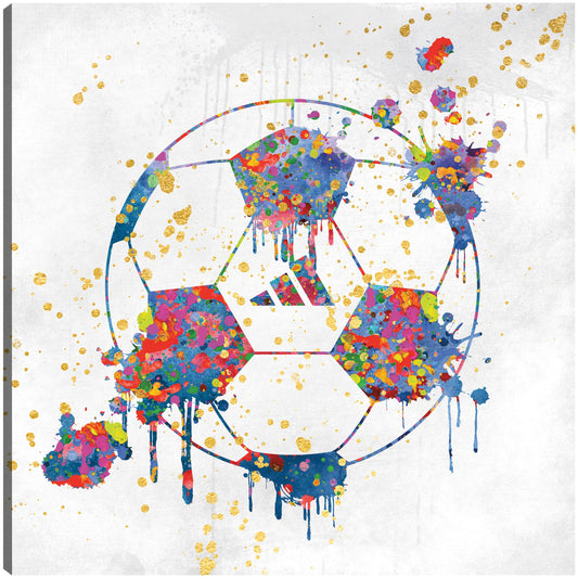 Pelota de fútbol colorida - Willow Brook Fine Art