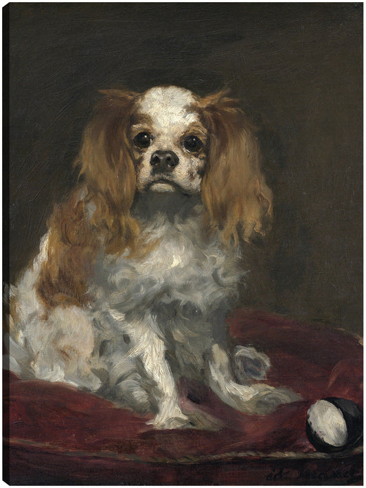 Un rey Charles Spaniel (c. 1866) - Edouard Manet