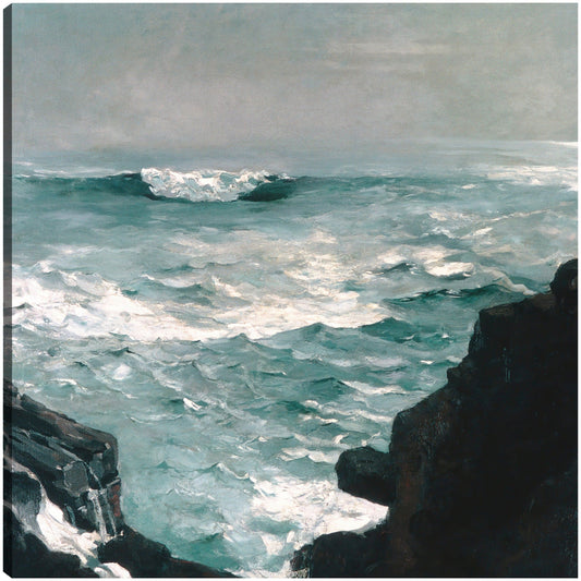 Roca del cañón (1895) - Winslow Homer