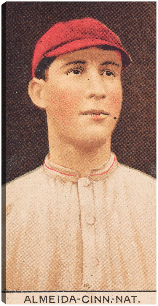 Rafael Almeida, Rojos de Cincinnati, retrato de tarjeta de béisbol - Library of Congress