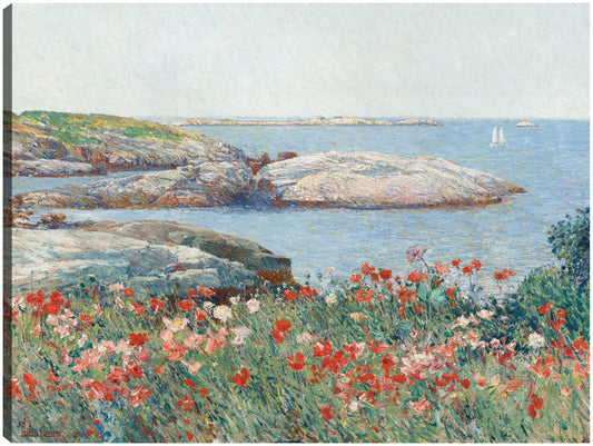 Amapolas, Isles of Shoals, 1891 - Childe Hassam