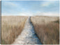 Acceso a la playa - Studio Arts