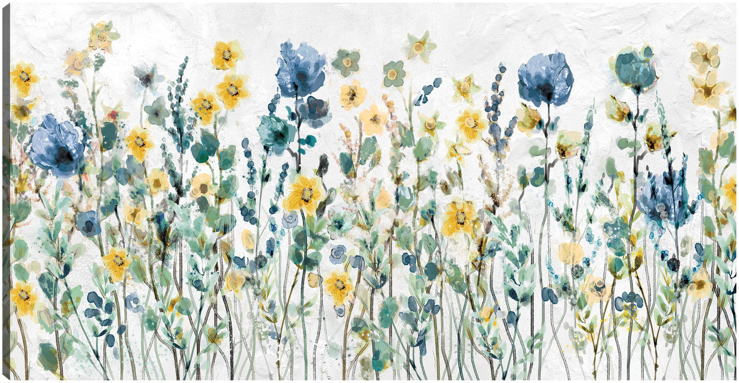 El jardín de casandra - Studio Arts