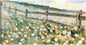 Paseo por el campo - Studio Arts