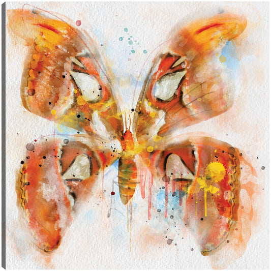 Vuelos de Fancy I - Studio Arts