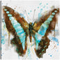Vuelos de Fancy II - Studio Arts