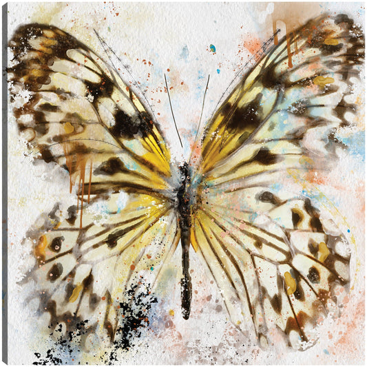 Vuelos de Fancy IV - Studio Arts