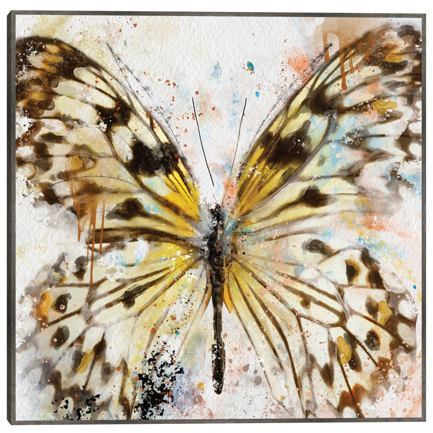 Vuelos de Fancy IV - Studio Arts