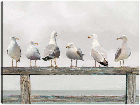 Reunión de gaviotas - Studio Arts