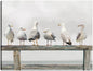 Reunión de gaviotas - Studio Arts