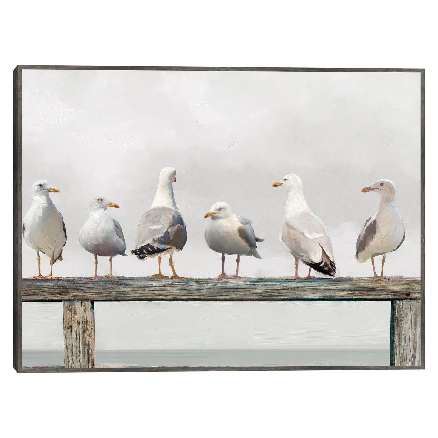 Reunión de gaviotas - Studio Arts