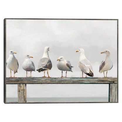 Reunión de gaviotas - Studio Arts