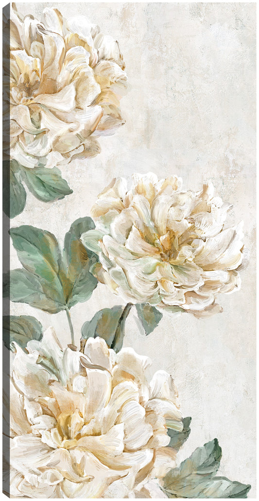 Trío de peonía - Studio Arts