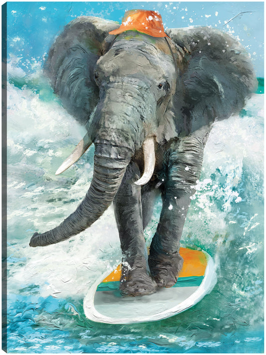 Safari de surf - Studio Arts