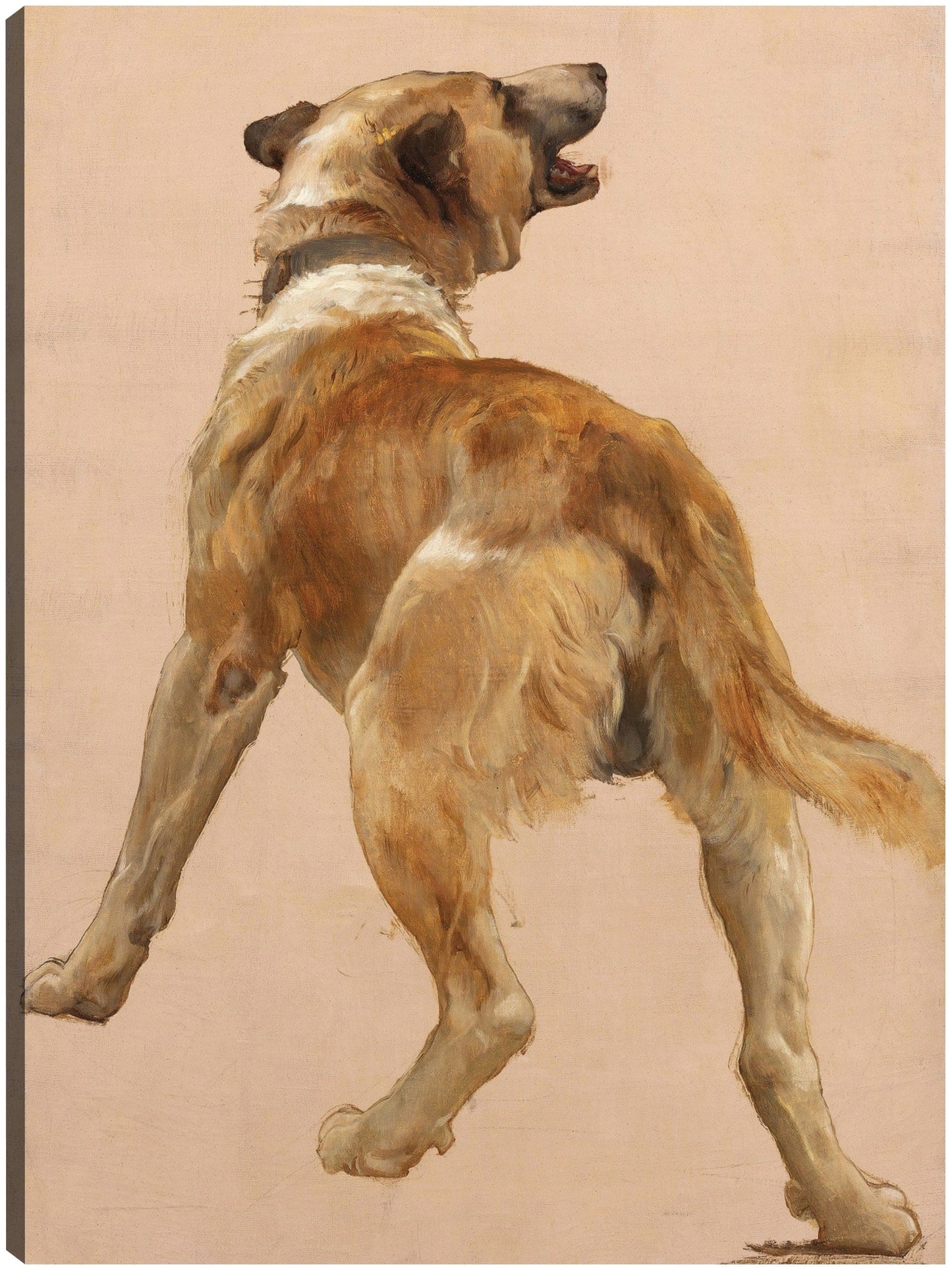 Estudio del perro guía hom?re et son. - William Bouguereau