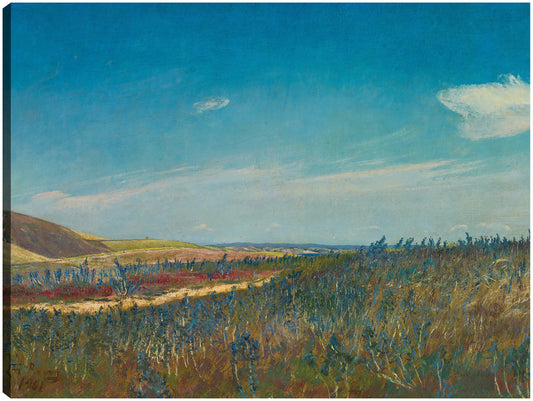 Vista cerca de Karrebaeksminde en el norte de Zelanda (1901) - Laurits Andersen Ring