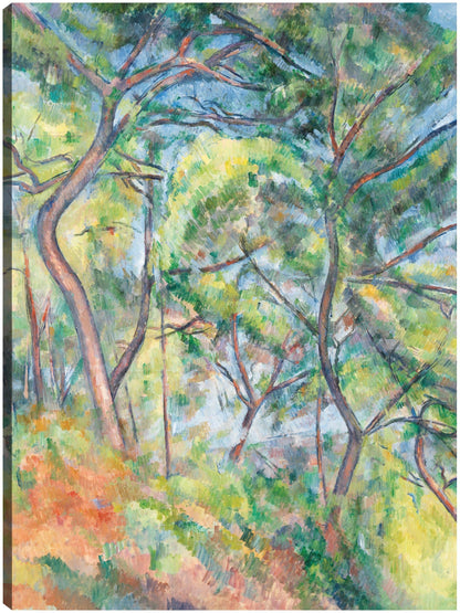 Sous-Bois (hacia 1894) - Paul Cézanne