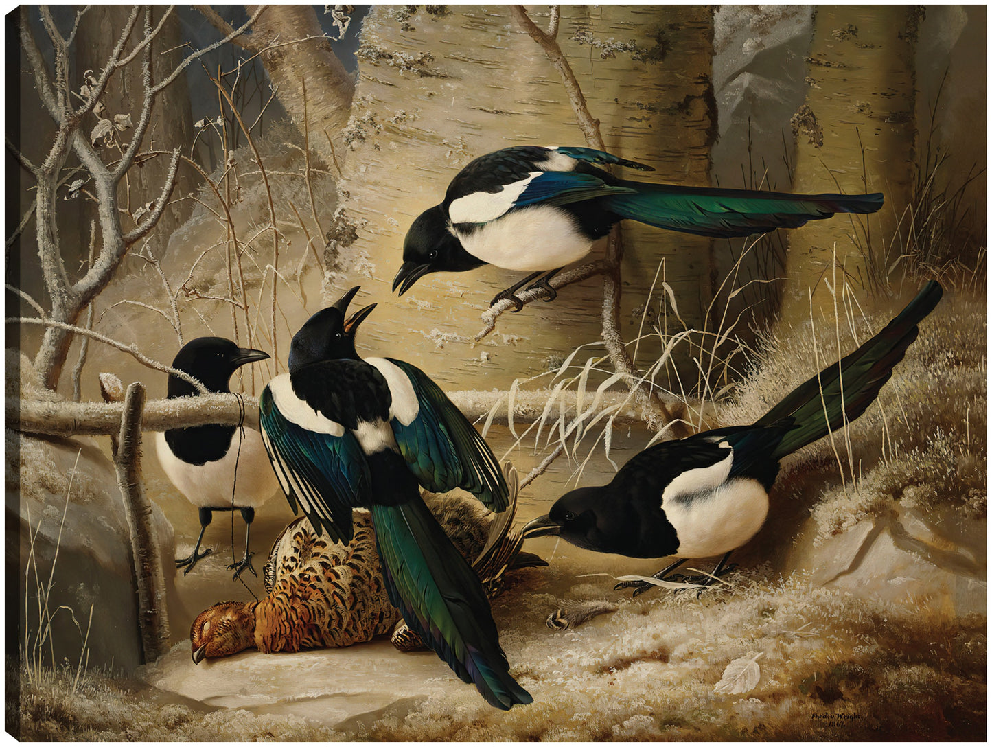 Urracas alrededor de un urogallo hembra muerta (1867) - Ferdinand von Wright