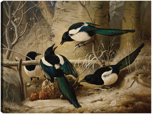 Urracas alrededor de un urogallo hembra muerta (1867) - Ferdinand von Wright