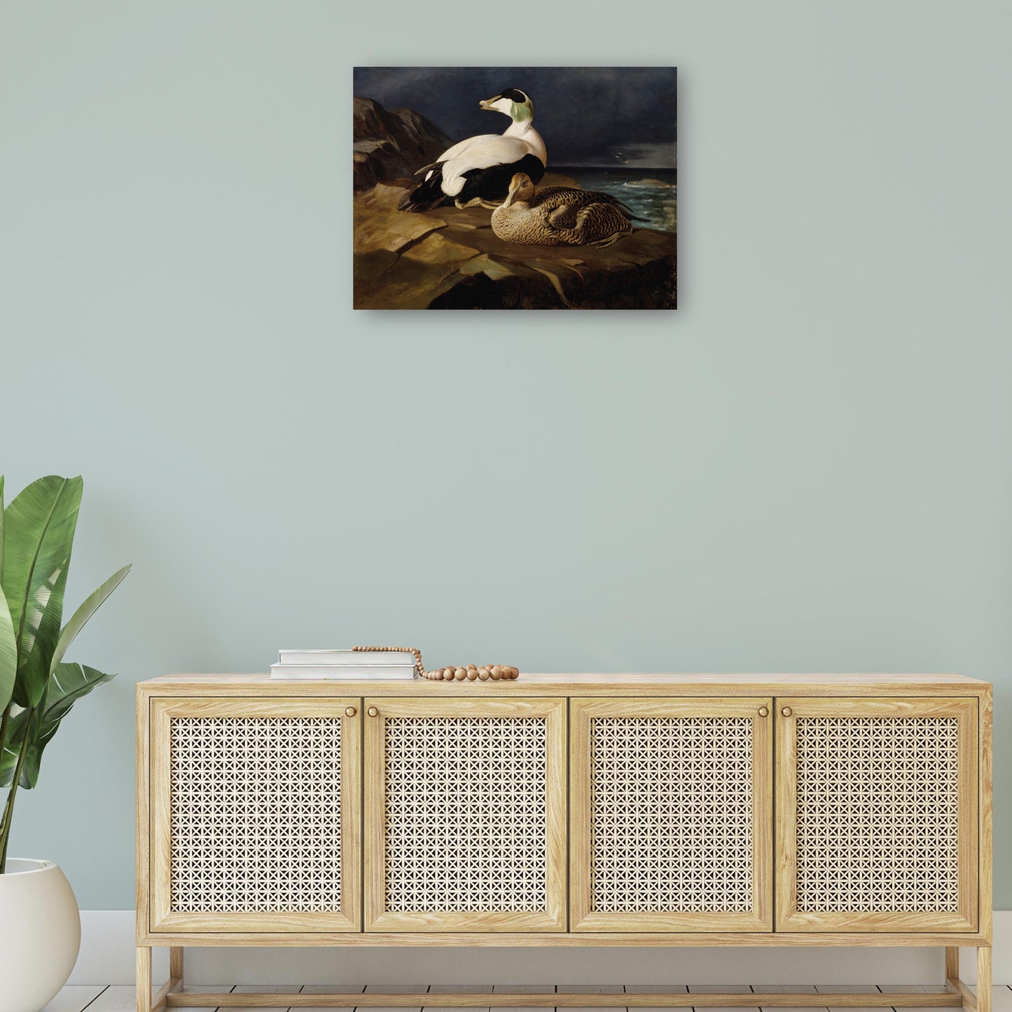 Par de eiders comunes sobre una roca (1869) - Ferdinand von Wright