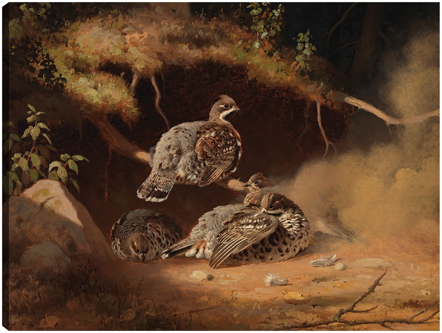 Urogallo revolcandose en la arena (1877) - Ferdinand von Wright