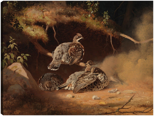 Urogallo revolcandose en la arena (1877) - Ferdinand von Wright