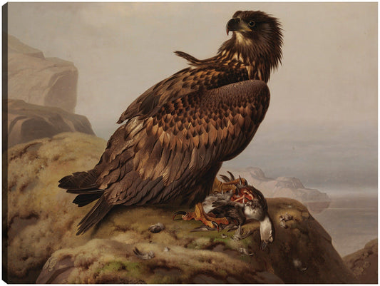 Águila de cola blanca con su presa (1861) - Ferdinand von Wright