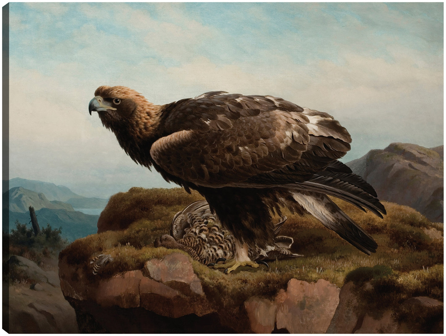 Águila real al borde de un acantilado (1880) - Ferdinand von Wright