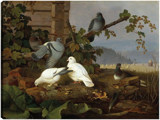 Palomas - Ferdinand von Wright