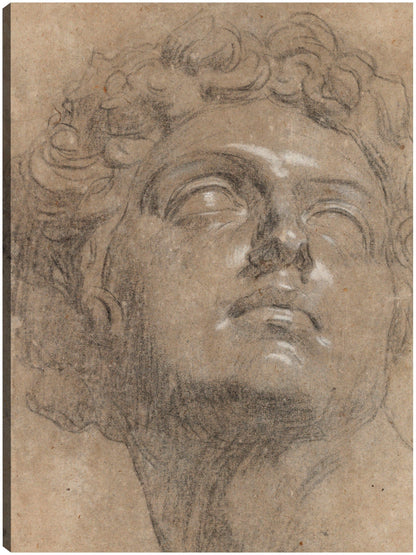 Cabeza de Giuliano de Medici, según Miguel Ángel - Jacopo Tintoretto