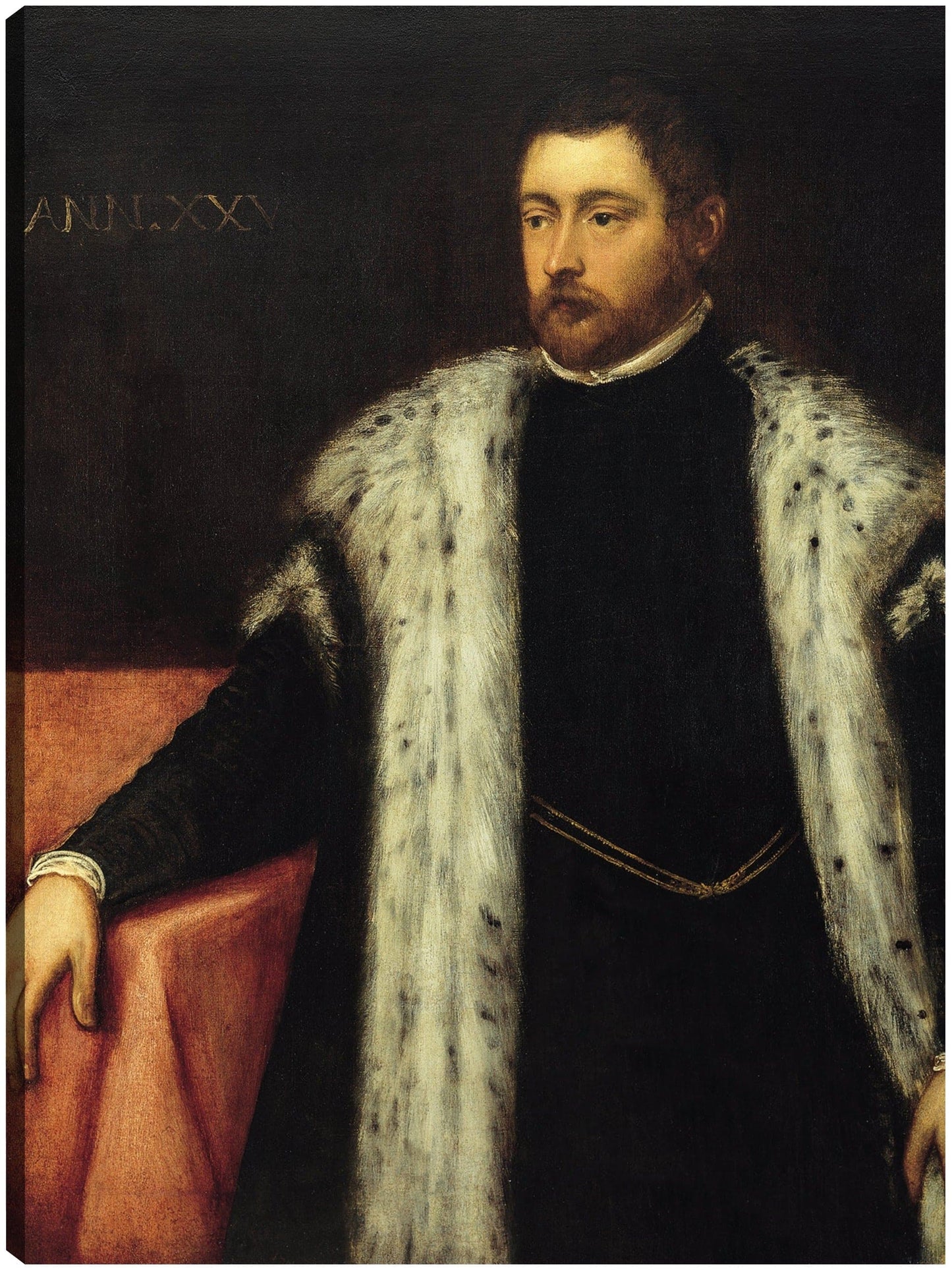 Joven de veinticinco años con abrigo forrado de piel - Jacopo Tintoretto